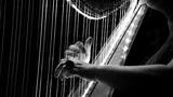 Harpeundervisning