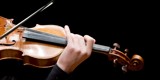 Violinundervisning - suzuki