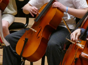 Cello Hold
