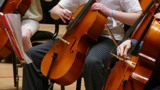 Cellohold