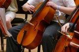 Cellohold Cellohold