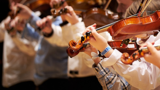 Violinhold